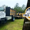 Mike Gibson Tree Service gallery