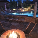 The Joshua Tree & Landscape Company - Arborists