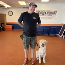 Off Leash K9 Training, Atlanta - Dog Training