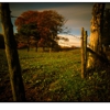 Duda Studio gallery