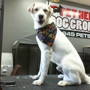 Pet Heroes Dog Grooming