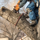 E & B Tree Service - Tree Service