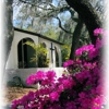 St Clement's Episcopal Church gallery