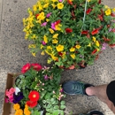 Nelly's Flower Shop