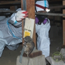 Green Rodent Restoration