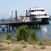 Martha's Vineyard Fast Ferry gallery