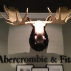 Abercrombie & Fitch