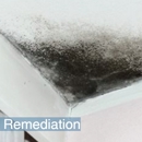 Rodela Restoration and Cleaning - Carpet & Rug Cleaning Equipment Rental