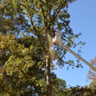 Mullinax Tree Service and More