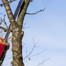 Al`s Tree Services - Tree Service