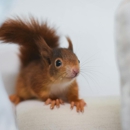 Pro-Tec Pest Services - Pest Control Equipment & Supplies