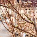 Berns Garden Center & Landscaping - Lawn & Garden Equipment & Supplies
