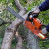 Immaculate tree service gallery