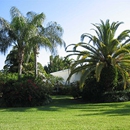 Conch Tree & Landscape Professionals - Tree Service