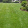 Maldonado's Landscaping gallery