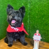 Mike Ramirez - State Farm Insurance Agent gallery