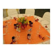 Gallery Image Number 7