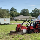 Citrus Stump Removal