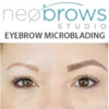 Neobrows Studio gallery