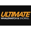 Ultimate Whale Watch & Snorkel gallery