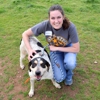 Mountain Animal Hospital Center gallery