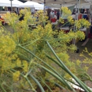 Bellingham Farmers Market - Grocery Stores