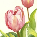 Summerland Gardens - Garden Centers