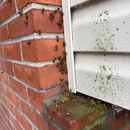 All County Termite & Pest Control - Pest Control Services