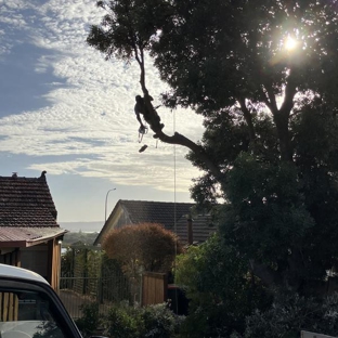 Cape Tree Service Mount Barker, Porongurup and Kendenup - Mount Barker, WA