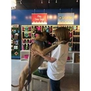 Splash and Dash Groomerie & Boutique - Pet Grooming