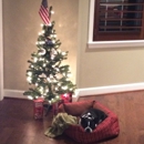Cameron Station Condiminium - Condominium Management