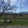 Shenandoah Vineyards gallery