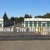 Almond Tree Mini Storage gallery