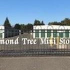 Almond Tree Mini Storage