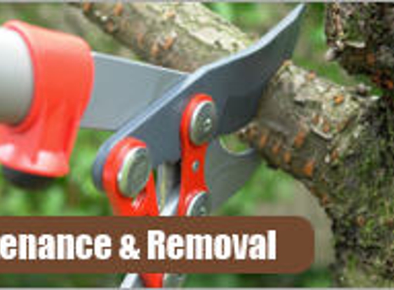 Rich Ley & Company Tree Service - Scotch Plains, NJ