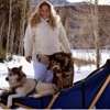 Snow Buddy Sled Dog Adventures gallery