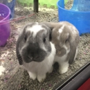 Uncle Bill's Pet Centers Zionsville - Florist Supply Wholesalers & Manufacturers