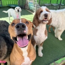Fon Jon Dog Boarding and Daycare of San Diego - Pet Services