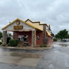 Golden Chick gallery