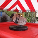 Big West the Mechanical Bull - Children's Party Planning & Entertainment