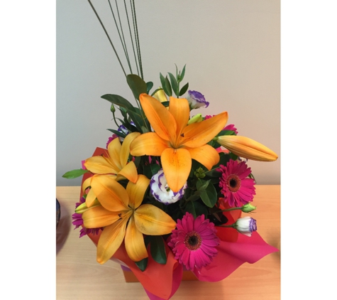 Enhance Clinical Psychology Services