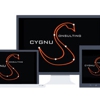 Cygnus Consulting gallery