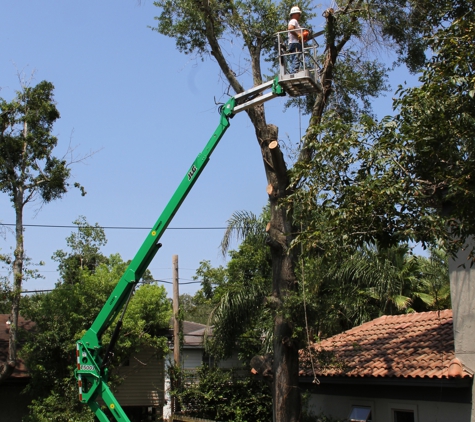 Greenwise Tree Surgeons - Jacksonville, FL