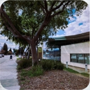 Evergreen Branch Library - Libraries