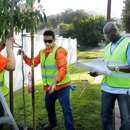 Flintridge Tree Care - Tree Service