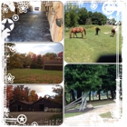 Whispering Rain Farm LLC