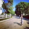Bicycle Inn gallery