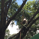 Tree Care Inc-Houston