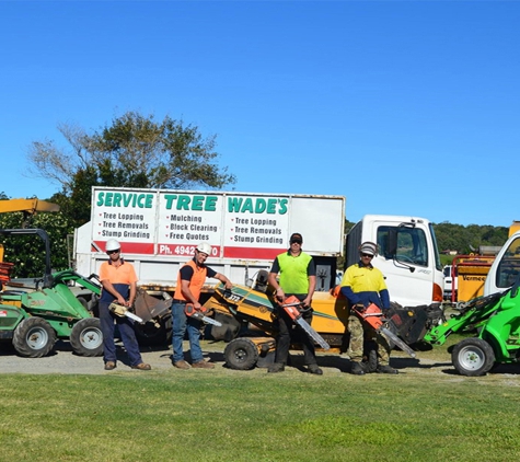 Wade's Tree Service - Andergrove, QLD. Wades Tree Service Team photo