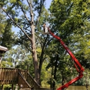 Bobby's Tree Service - Stump Removal & Grinding